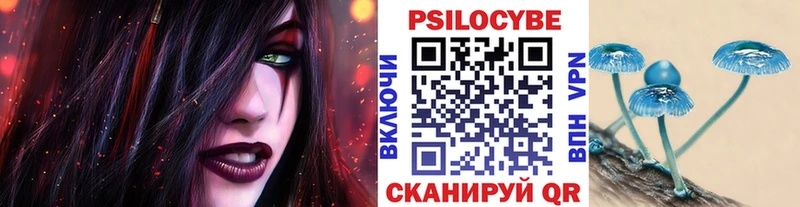 что такое ОМГ ОМГ ТОР Псилоцибиновые грибы прущие грибы площадка состав Белый